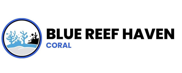 Blue Reef Haven